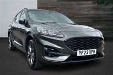 Used Ford Kuga