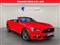 Ford Mustang Image 1
