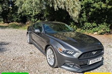Used Ford Mustang