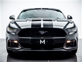 Ford Mustang Image 2