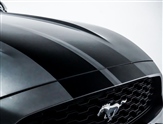 Ford Mustang Image 3