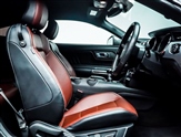 Ford Mustang Image 6