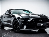Ford Mustang Image 1