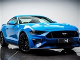 Ford Mustang Image 1