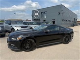 Ford Mustang Image 4