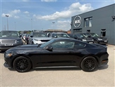 Ford Mustang Image 5