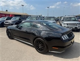 Ford Mustang Image 6