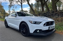 Used Ford Mustang Used Ford Mustang
