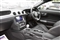 Ford Mustang Image 2
