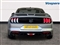 Ford Mustang Image 7