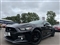 Ford Mustang Image 1