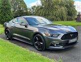 Used Ford Mustang