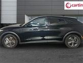 Ford Mustang Image 3