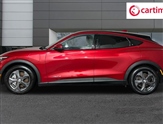 Ford Mustang Image 3