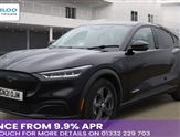 Used Ford Mustang