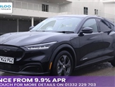 Used Ford Mustang