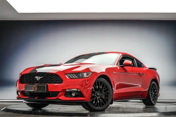 Large image for the Used Ford MUSTANG
