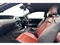 Ford Mustang Image 2