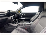 Ford Mustang Image 2