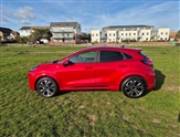 Used Ford Puma