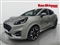 Ford Puma Image 2