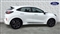 Ford Puma Image 4