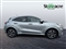 Ford Puma Image 6