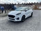 Ford Puma Image 3