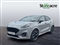 Ford Puma Image 3