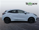 Ford Puma Image 2