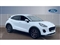 Ford Puma Image 1