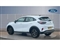Ford Puma Image 2