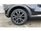 Ford Puma Image 7