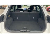 Ford Puma Image 4