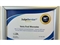 Ford Puma Image 8