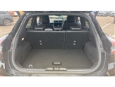 Ford Puma Image 4