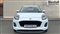 Ford Puma Image 8