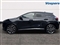Ford Puma Image 5