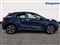 Ford Puma Image 10