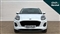 Ford Puma Image 8