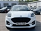 Ford Puma Image 8