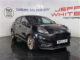 Ford Puma Image 1