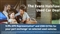Ford Puma Image 5