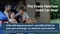 Ford Puma Image 2