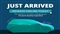 Ford Puma Image 3