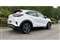 Ford Puma Image 8