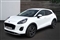 Ford Puma Image 4