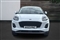 Ford Puma Image 10