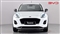 Ford Puma Image 9