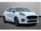 Ford Puma Image 1